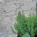 펜션 Borgo Vico *