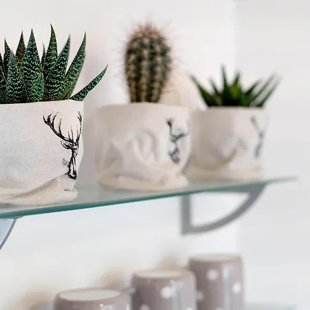 Vakantiehuis Borgo Vico Verceia