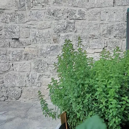 Vakantiehuis Borgo Vico *