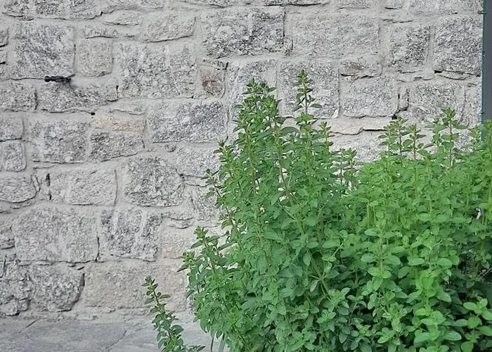 Holiday home Borgo Vico *